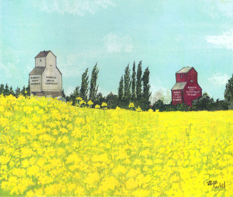 "Canola St. Albert" Art Print