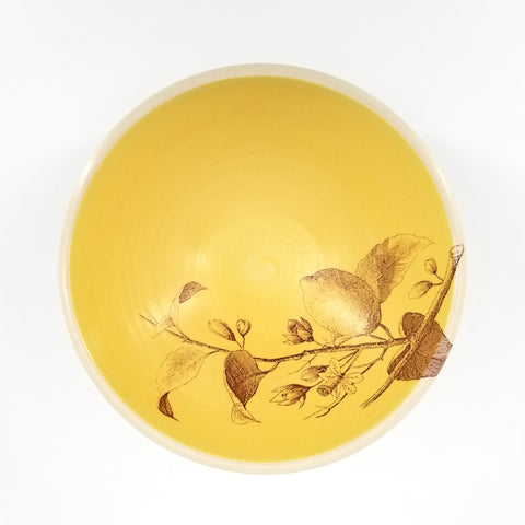 Lemon Bowl