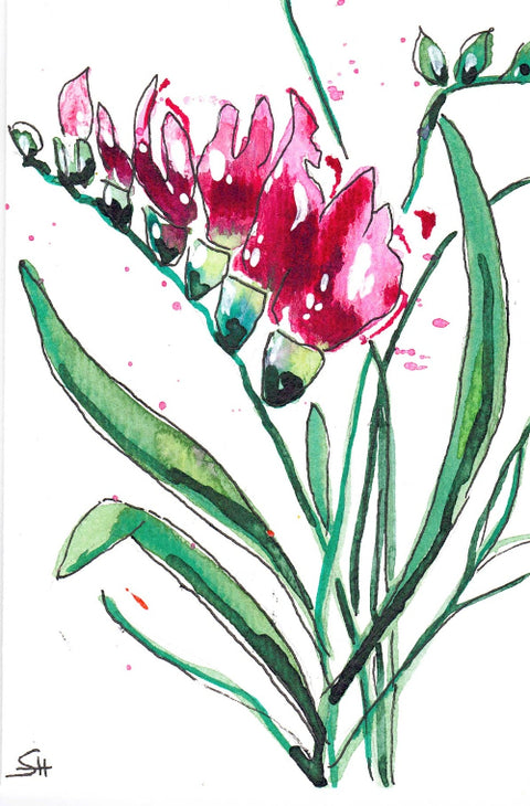 'Floral Series' 4 x 6 Original Art Cards by Sabine Hahnel Style 3 - Arts and Heritage St. Albert