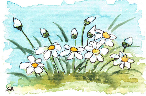 'Floral Series' 4 x 6 Original Art Cards by Sabine Hahnel Style 4 - Arts and Heritage St. Albert