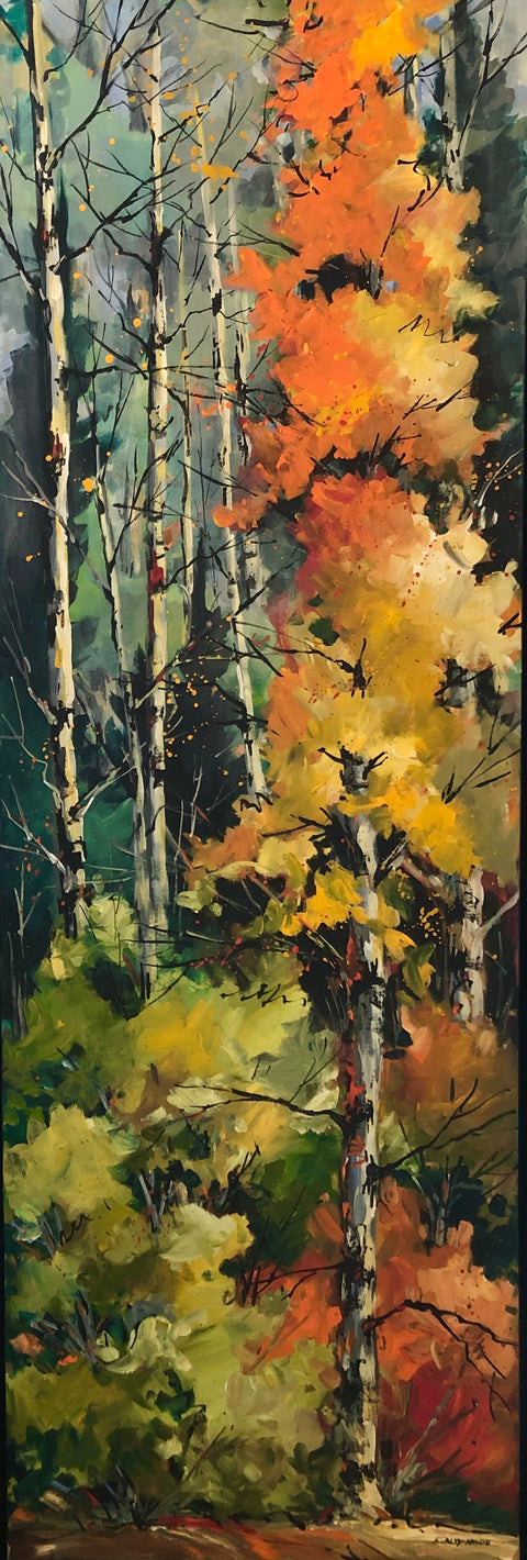 Changing Colours