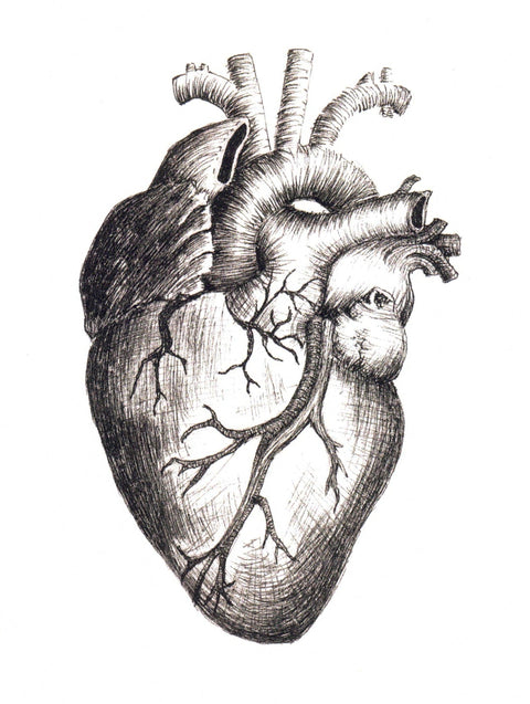 'Vintage Vibe' Art Cards by Snake Bite Creations Anatomical Heart Art Card - Arts and Heritage St. Albert