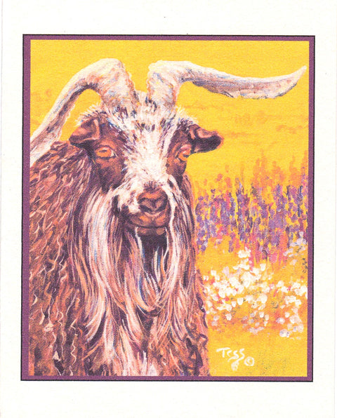 Animal Art Cards By Teresa Stieben Billy in the Wildflowers - Arts and Heritage St. Albert