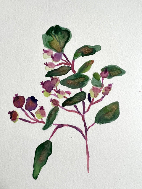 Craft + Conversation: Botanical Watercolours - Arts and Heritage St. Albert