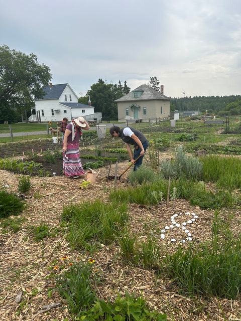 Indigenous Plants Table Talk - Arts and Heritage St. Albert