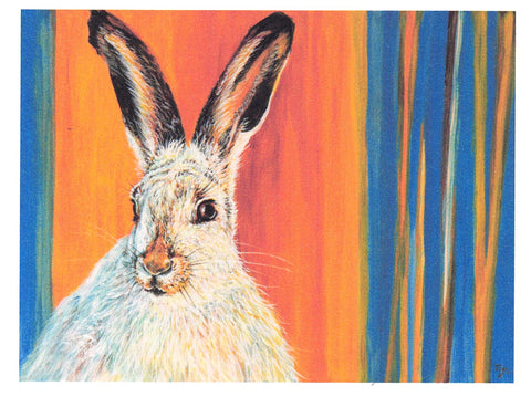 Animal Art Cards By Teresa Stieben Don't Give-a-jack Jackrabbit - Arts and Heritage St. Albert
