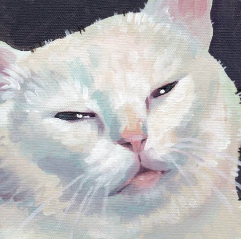 'Cats' Expressive Animal Portrait Art Cards by Robin Good Enya Cat - Arts and Heritage St. Albert