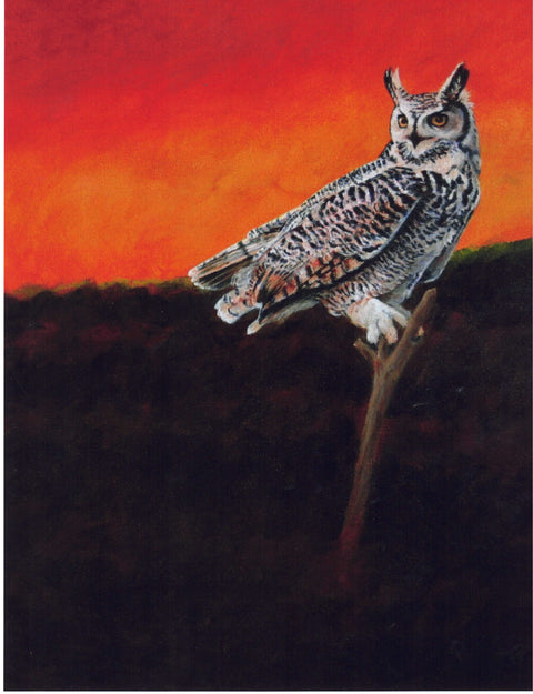 Birds and Butterflies Art Prints by Teresa Stieben Great Horned Owl - Arts and Heritage St. Albert