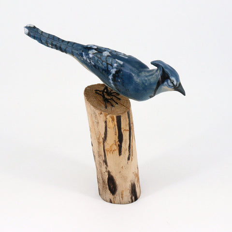 Ceramic Blue Jay Sculpture - Arts and Heritage St. Albert