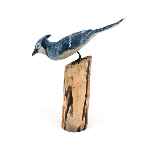 Ceramic Blue Jay Sculpture - Arts and Heritage St. Albert
