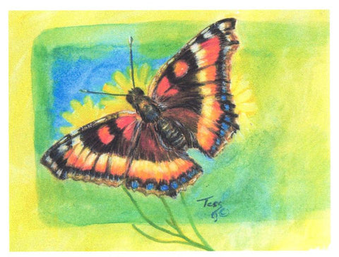 Birds & Butterflies Art Cards By Teresa Stieben Milbert's Tortoiseshell Butterfly - Arts and Heritage St. Albert