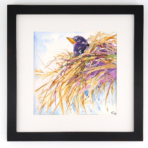 Framed Original 12" x 12" Bird Watercolour Paintings by Sabine Hahnel