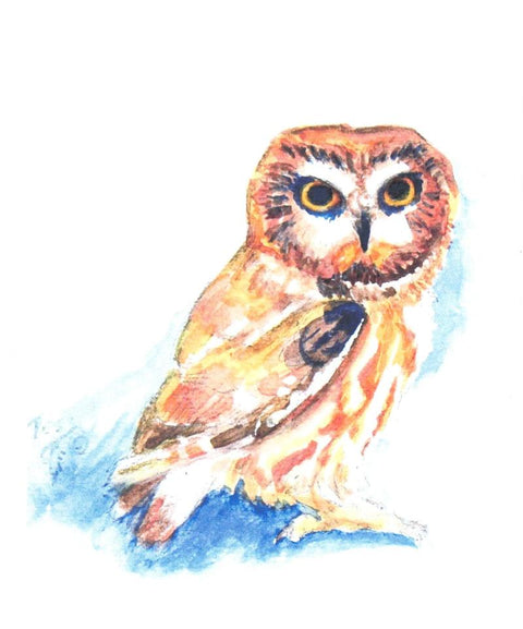 Birds & Butterflies Art Cards By Teresa Stieben Northern Saw-whet Owl - Arts and Heritage St. Albert
