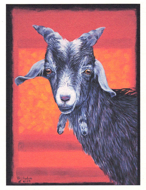 Animal Art Cards By Teresa Stieben Stanley Goat - Arts and Heritage St. Albert