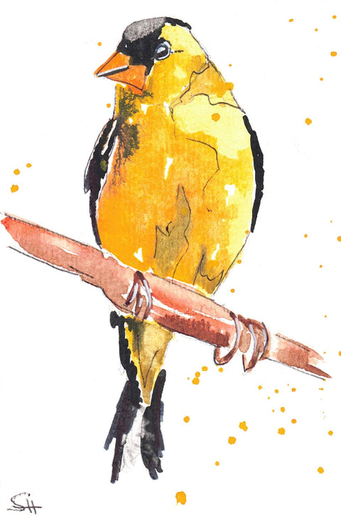 'Bird Series' 4 x 6 Original Art Cards by Sabine Hahnel - Arts and Heritage St. Albert