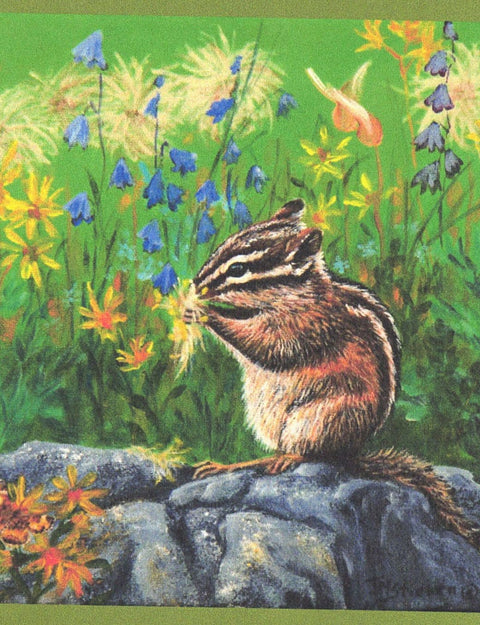 Animal Art Cards By Teresa Stieben Take Time To Enjoy The Wild Flowers - Arts and Heritage St. Albert