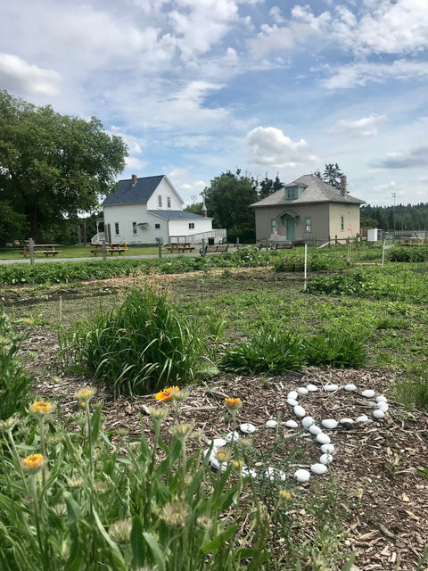 Learning from the Land - Arts and Heritage St. Albert