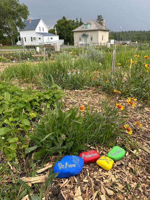 Indigenous Plants Table Talk - Arts and Heritage St. Albert