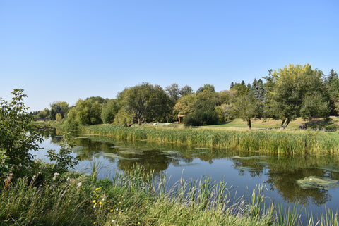 2023 Arts and Heritage St. Albert Walking Tours