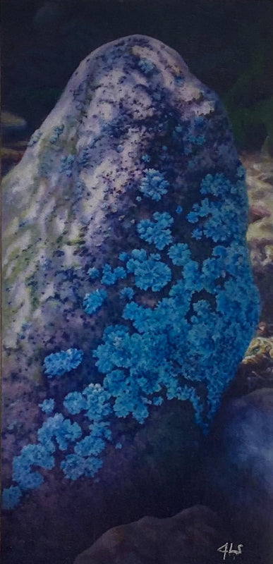 Art Magnets Lichens - Arts and Heritage St. Albert