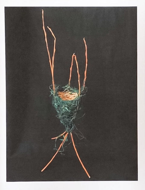 Teresa Stieben Art Cards Nest-16 - Arts and Heritage St. Albert