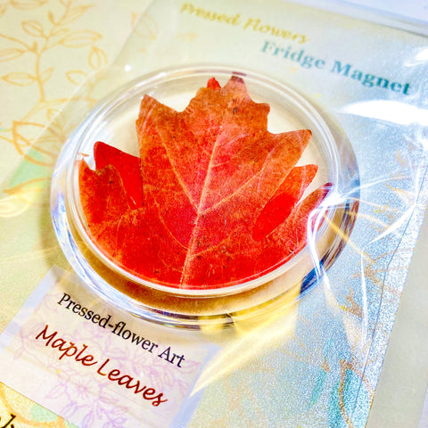 Pressed Flower Art Fridge Magnets