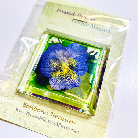 Pressed Flower Art Fridge Magnets