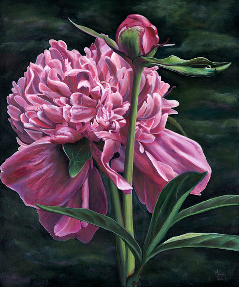 Floral Series Art Cards by Memory Roth