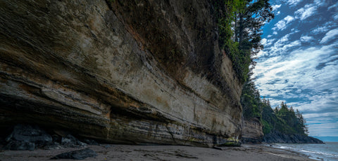 The Island #1