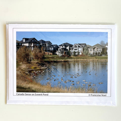 Francoise Noel Cards Canada Geese on Everett Pond - Arts and Heritage St. Albert