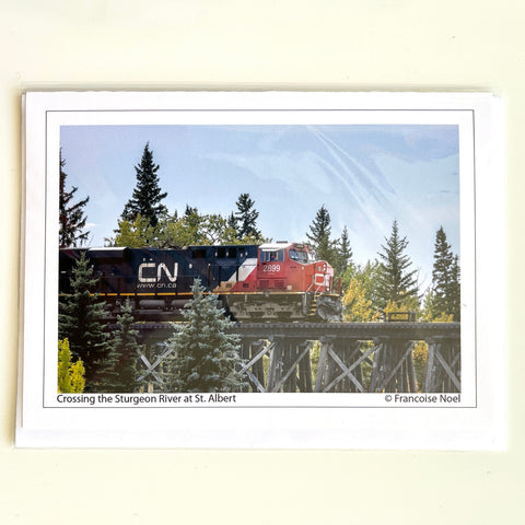 Francoise Noel Cards Crossing the Sturgeon River at St. Albert - Arts and Heritage St. Albert