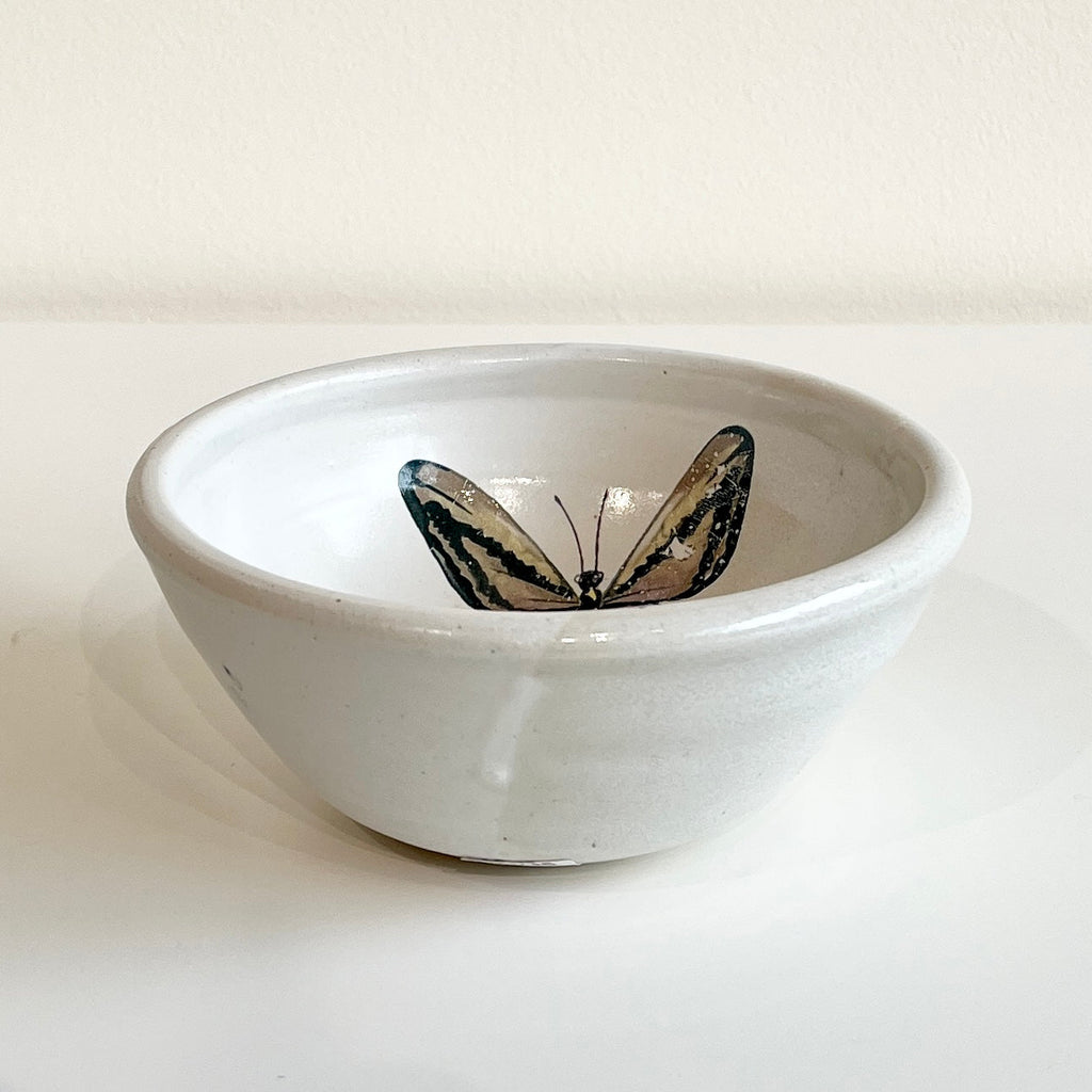 White Butterfly Bowl – Arts and Heritage Foundation St. Albert