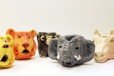 Animals + Insects