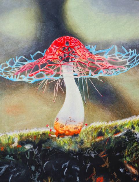 High Energy 31 - Arts and Heritage St. Albert