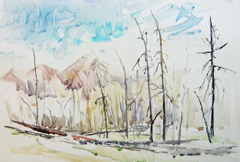 Witnessing the Middle Distance - Arts and Heritage St. Albert