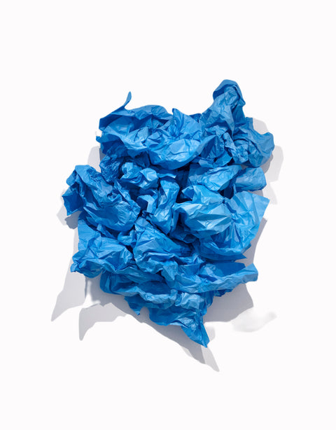 Ephemeral Language / Langue éphémère - Arts and Heritage St. Albert