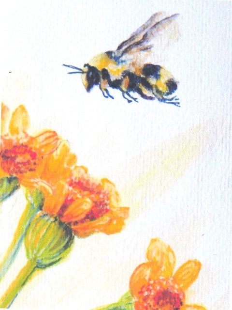 Bee Cards