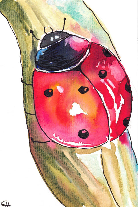 'Animal' 4 x 6 Original Art Cards by Sabine Hahnel Lady Bug - Arts and Heritage St. Albert