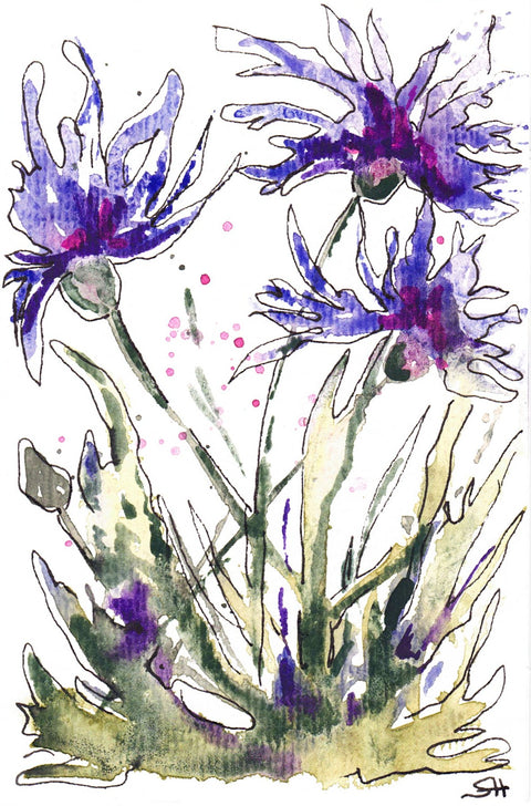 'Floral Series' 4 x 6 Original Art Cards by Sabine Hahnel Style 5 - Arts and Heritage St. Albert
