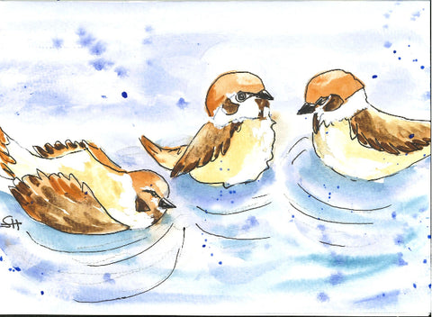 'Bird Series' 5 x 7 Original Art Cards by Sabine Hahnel Style 5 - Arts and Heritage St. Albert