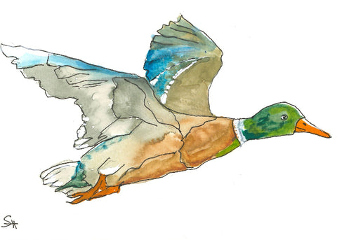 'Bird Series' 5 x 7 Original Art Cards by Sabine Hahnel Style 6 - Arts and Heritage St. Albert
