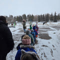 Animals + Seasons at the Museum Winter Program: Bookings that occur from November – March explore what plants and animals do during the winter season. - Arts and Heritage St. Albert