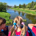 Animals + Seasons at the Museum Spring Program: Bookings that occur from April – June explore what the plants and animals do during the spring. - Arts and Heritage St. Albert