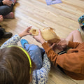 Animals + Seasons at the Museum Fall Program: Bookings that occur from September – October explore what plants and animals do during the fall. - Arts and Heritage St. Albert