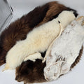 Animals + Seasons at the Museum - Arts and Heritage St. Albert