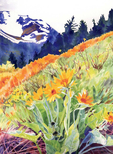 Rayma Peterson Art Cards Balsam Root - Arts and Heritage St. Albert