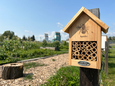 Build a Native Bee Hotel - Arts and Heritage St. Albert