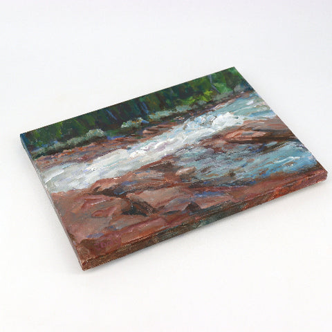 'Bighorn Rapids'  Acrylic Painting by Julie Daly