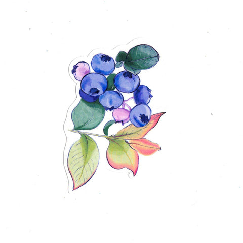 Stickers by Hanna Dotzenroth Blueberries - Arts and Heritage St. Albert