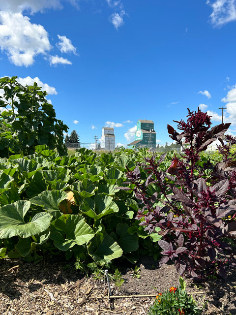 ST. ALBERT HERITAGE SITES SEASON OPENING WEEKEND!